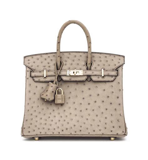 hermes orstrich birkin|Hermes Birkin ostrich price.